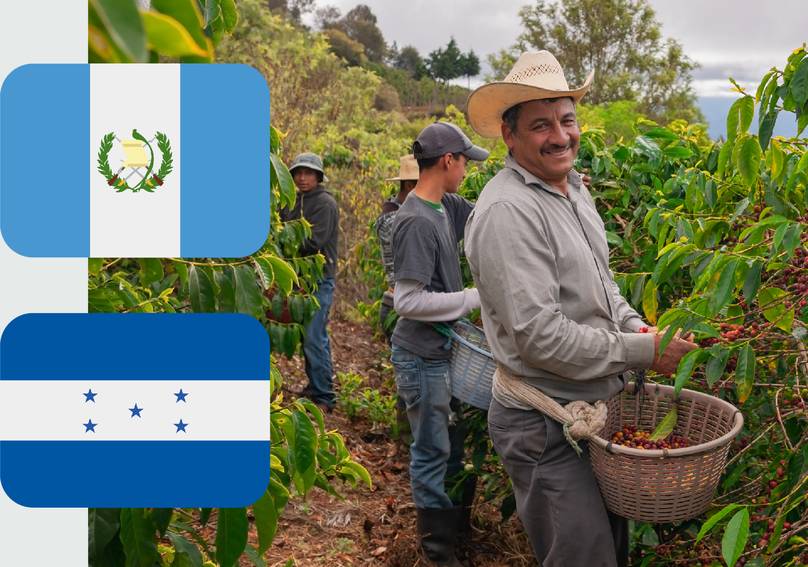 Banderas de Guatemala y Honduras