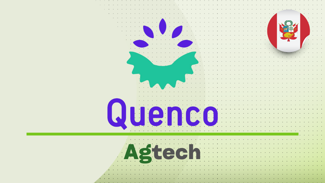 Quenco