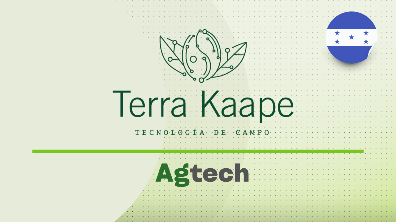 Terra Kaape